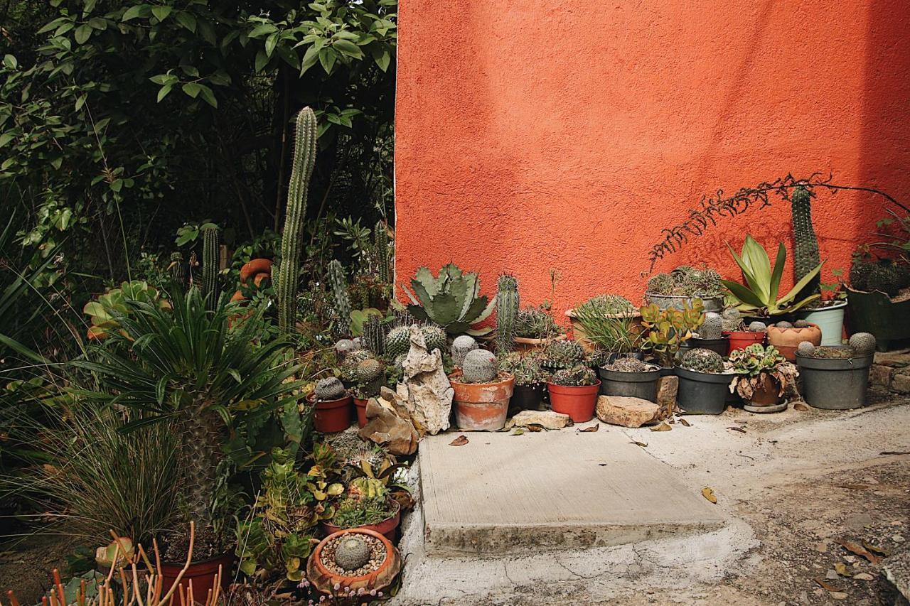 Cabana Campestre En Oaxaca Exterior photo